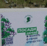 Северян приглашают присоединиться к акции «Сад памяти» - Мурманский вестник