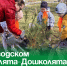 В Заводском «Эколята-Дошколята» высадили сосны. - Администрация Артёмовского городского округа