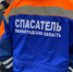В лесу в Гатчинском округе спасатели пришли на помощь женщине с собаками - Гатчинская служба новостей