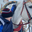 Фото конноспортивного «Чародей» - Пресс-центр Правительства