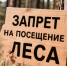 В лес – ни ногой! - Газета Сельская новь