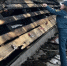 Пожарные спасли несколько кроликов и попугаев из вспыхнувшего ТЦ в Слободском - ProGorod.Ru