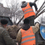 На Горького в Благовещенске начали высаживать крупномерные ясени - ИА Порт Амур