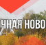 Оперштаб Ивановской области сообщил о разминировании БПЛА в Пестяковском районе - Известно.ру