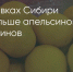 Поделитья во ВКонтакте - Братская Студия Телевидения