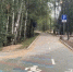 В Сосновом Бору раскрыли схему хищения денег, предназначенных на создание велодорожки - 47Channel.Ru