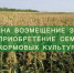 ОБЪЯВЛЕНИЕ ОБ ОТБОРЕ НА ФИНАНСОВОЕ ОБЕСПЕЧЕНИЕ ЧАСТИ ЗАТРАТ НА ПРИОБРЕТЕНИЕ СЕМЯН КОРМОВЫХ КУЛЬТУР, ПОСТАВЛЯЕМЫХ В РАЙОНЫ КРАЙНЕГО СЕВЕРА И ПРИРАВНЕННЫЕ К НИМ МЕСТНОСТИ, С УЧЕТОМ ЗАТРАТ НА ДОСТАВКУ - ПО СТАВКЕ НА 1 ГЕКТАР ПОСЕВНЫХ ПЛОЩАДЕЙ - Министерство сельского хозяйства