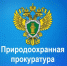 Мелитопольский межрайонный природоохранный прокурор разъясняет об изменениях лесного законодательства. - Мелитопольский округ
