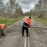 На дорогах Новгородской области продолжают ликвидировать последствия урагана - 53news.Ru