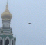 портал - Вологда-поиск