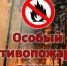 На территории Вологодской области установлен особый противопожарный режим на землях лесного фонда. - Кичменгско-Городецкий муниципальный округ