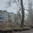 Огромное дерево рухнуло на машину в Карелии - Gubdaily.Ru