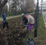 На эспланаде в Ульяновске начали разокучивать розы после зимы - Ulyanovsk.Express