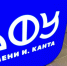 В Калининграде проходит «Инфофорум» — ключевое событие года в сфере кибербезопасности - Калининградская ГТРК