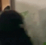 В Калужской области задержан подозреваемый в убийстве, совершённом в 2004 году. Видео - Следственный комитет