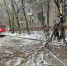 Ликвидация последствий стихии в МО - Chehov-Vid.Ru