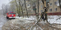 Ликвидация последствий стихии в МО - Chehov-Vid.Ru
