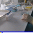 Калмыцкая ветлаборатория подтвердила свою квалификацию - Интернет-газета Степные вести