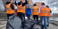 В Апатитах самые активные дворы одарят саженцами - SeverPost.ru