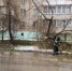 МЧС Подмосковья представило статистику непогоды - ОКА-ФМ