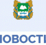 Разведение костра, которое повлекло за собой возникновение лесного пожара. - Варгашинский муниципальный округ