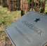 Фото: arhcity.ru - News29.Ru