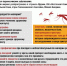 Малярия: меры предосторожности при поездках в тропики - Роспотребнадзор МО