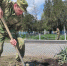 Военнослужащие ОГВ(с) приняли участие в ведомственной акции «На страже памяти» - ИА Грозный-информ
