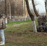 В Курске на субботнике привели в порядок 38 общественных территорий - Курские Известия