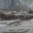 Дерево упало рядом с остановкой в 5-м микрорайоне - Netall.Ru