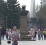 Видео - ТВН