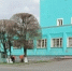 В Киселевске коммунальные бригады начали массовую побелку деревьев - Городок