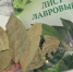 Зачем класть лавровый лист в сахар: бабушкин секрет, который реально работает - Prochepetsk.ru