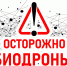 ОСТОРОЖНО - «БИОДРОНЫ»! - Комитет архитектуры и градостроительства