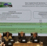 Показатель лесовосстановления в Белгородской области составил 586% - Сетевое издание Красный Октябрь