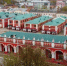 Фото: Kaluga-poisk.ru - Kaluga-Poisk.Ru