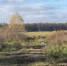 Фото Анны Язинской/Вологда-Поиск - Вологда-поиск