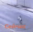 18-летний нижегородец украл цветы и раздал прохожим - ИА Нижний сейчас