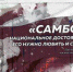Юная самбистка Таисия Быковская представит Орловщину на первенстве России - OrelTimes.Ru