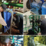 Сводка по котельным Истры: обслуживание, ремонты, профилактика - Газета Истра сегодня