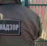 Росприроднадзор потребовал возместить более 44 миллионов рублей за загрязнение почвы в Ленобласти - Петербургский дневник