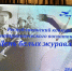 Республиканский конкурс «День белых журавлей» в Лаишевском техникуме - Камская новь