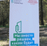 Жители Подмосковья определяют будущее своих городов: стартовало всероссийское голосование за объекты благоустройства - Kotelniki.Info