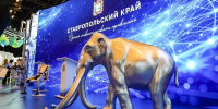В первый день КИФ-2026 Ставрополье подписало семь соглашений — губернатор - ИА Победа 26