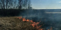 Общая площадь лесных пожаров в регионе с начала сезона составила более 20 гектаров: два пожара на землях лесного фонда и один — в городских лесах Тольятти. - НИА Самара