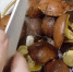 Какие весенние грибы самые вкусные: вот когда и где они растут - ProGorod.Ru