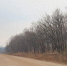 Режим повышенной готовности планируют ввести в Приамурье на майские праздники - ИА Порт Амур