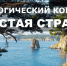 Продолжается прием заявок на конкурс экологических проектов «Чистая страна» - Дума Уссурийского городского округа