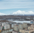Меры реагирования на появление медведей в городской черте - Администрация г. Петропавловск-Камчатский