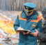 В Зауралье нашли виновников 8 ландшафтных пожаров - Kurgan.Ru